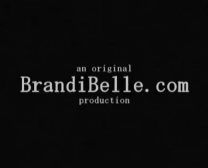 Brandi Belle Ist Ein Tätowierter Brunette, Der Gerne Sex Hat, Wenn Sie Wasser Auftaucht.