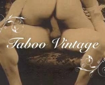 Vintage Pussy Rimjob Bukkake Video Avec Une Beauté Japonaise Qui Douleur