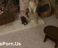 Videos Sexo Al Desnudo De Virgenes