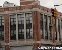 Gangsta Angs Ebony Big Booty Gym Fuck