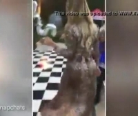 Mujer Madura Queda Abotonada Del Culo Con Perro Dalmata