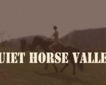 Paard V Meisje Bf Video Download