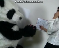 Professeur Spectaculaire De Panda Folle Endurant