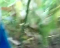 Descargar Videos Follando En El Bosque Frexx Mobi
