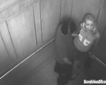 Stunning Time In The Elevator Gets Caught On Web Cam